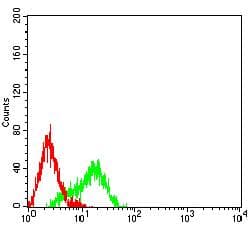 HNRPM / HNRNPM Antibody (clone 5G6C11)