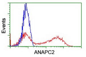 ANAPC2 / APC2 Antibody (clone OTI3E1)