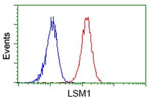 LSM1 Antibody (aa1-133, clone OTI9D7, Carrier-free)