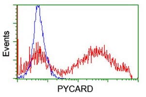 PYCARD / ASC / TMS1 Antibody (clone OTI1H6)