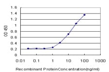 FIS1 Antibody (clone 1G9)