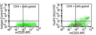 FOXP3 Antibody (N-Terminus, clone 3G3, FITC)