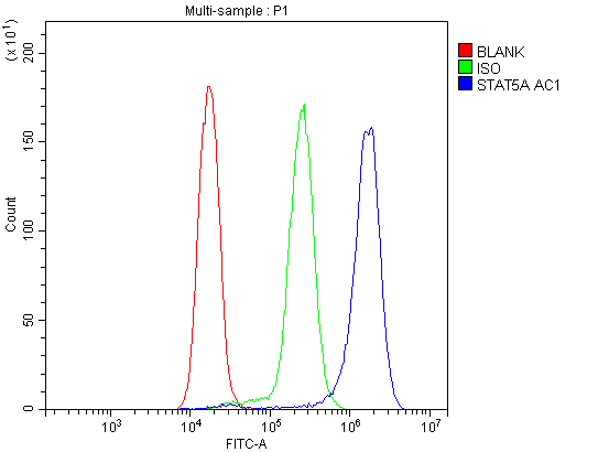 STAT5A Antibody (aa735-751)