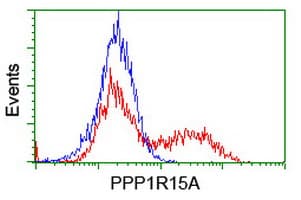 PPP1R15A / GADD34 Antibody (clone OTI1E1)