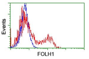 PathPlus™ FOLH1 / PSMA Antibody (clone 5C4)