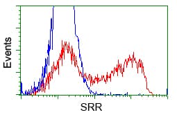 Monoclonal Mouse anti-Human SRR / Serine Racemase Antibody (clone OTI5D10, IHC, WB)