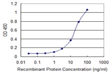 TAF12 Antibody (clone 1E10)