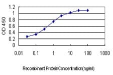 BIRC5 / Survivin Antibody (clone 5B10)