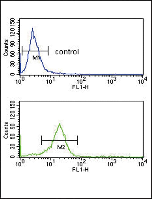 OPRM1 / Mu Opioid Receptor Antibody (aa161-187)