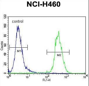 TECRL Antibody (aa325-354)