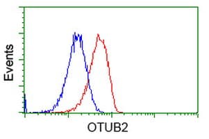 OTUB2 Antibody (clone OTI6C7, Carrier-free)