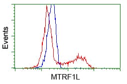 HMRF1L / MTRF1L Antibody (clone OTI1D11)