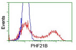 PHF21B Antibody (clone OTI3D1)