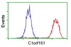 MAB21L3 / C1orf161 Antibody (clone OTI2A3)