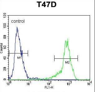 PathPlus™ Polyclonal Rabbit anti-Human SIAH2 Antibody (aa216-244, IHC, WB)