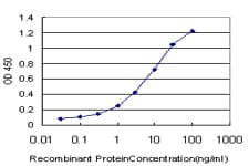 CREB5 Antibody (clone 8A5)