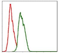 Monoclonal Mouse anti-Human NEDD8 Antibody (clone 1A7, IHC, IF, WB)