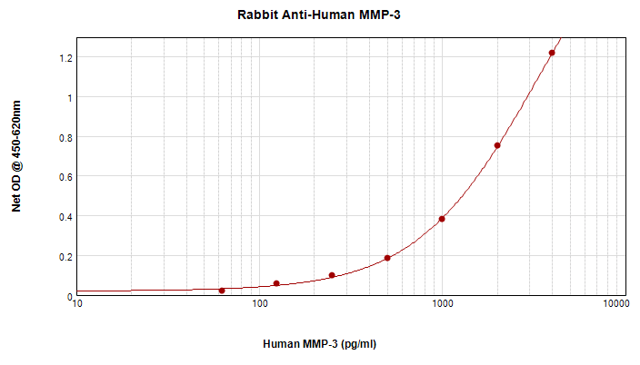 MMP3 Antibody