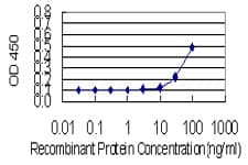 Monoclonal Mouse anti-Human DOCK180 / DOCK1 Antibody (clone 3D10, WB)
