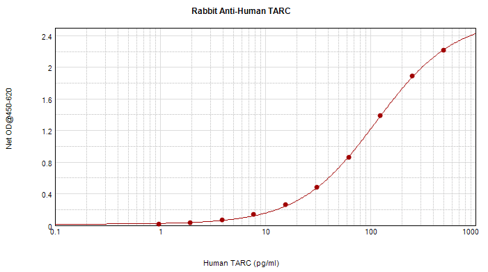 CCL17 / TARC Antibody
