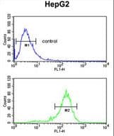 RNF208 Antibody (aa86-115)
