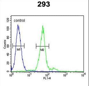 Polyclonal Rabbit anti-Human TPSAB1 / Mast Cell Tryptase Antibody (aa61-87, WB)