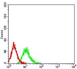 TNFRSF19 / TROY Antibody (clone 6F5D3)