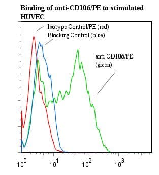 VCAM1 / CD106 Antibody (clone 1.G11B1, RPE)