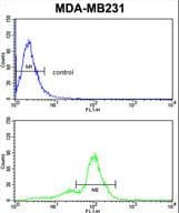 Acrosin Antibody (aa99-127)