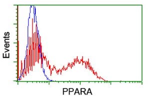 PPARA / PPAR Alpha Antibody (aa145-420, clone OTI2E7, Carrier-free)