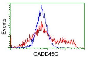 CR6 / GADD45G Antibody (clone OTI1E4)