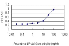 PPFIA4 Antibody (clone 3B1)