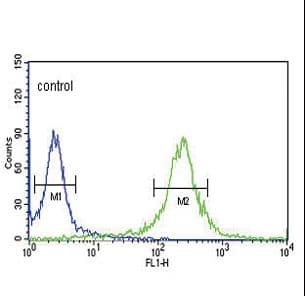 IHC-plus™ KLF5 / BTEB2 Antibody (aa341-370)