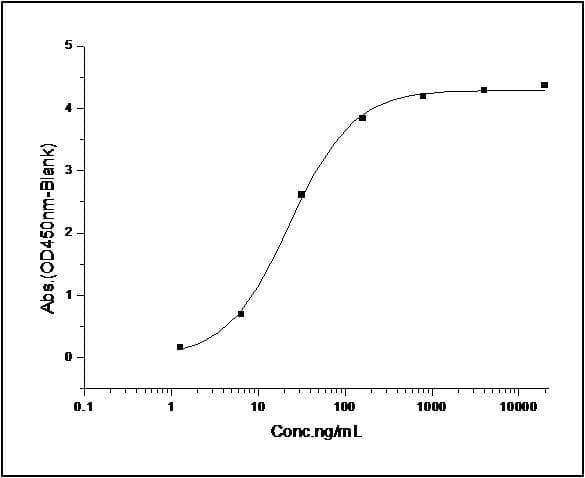 Human IL12RB1 / CD212 Protein (Recombinant His,C-terminus)