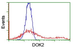 DOK2 Antibody (clone OTI2A3)