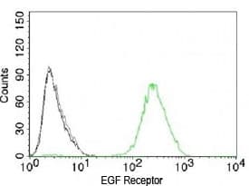 EGFR Antibody (clone ERB59-1)