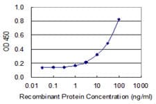 ZNF155 Antibody (clone 2F11)
