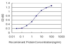 Monoclonal Mouse anti-Human TADA2B Antibody (clone 1C8, WB)