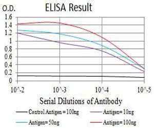 CML / BCR Antibody (clone 6B5E12)
