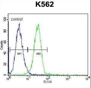 UAP1L1 Antibody (aa109-137)