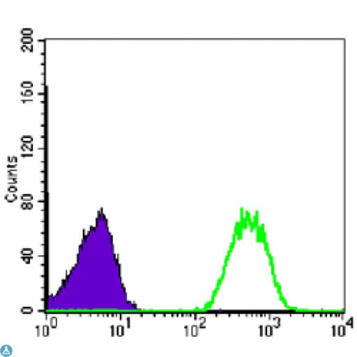 NME1 / NM23 Antibody