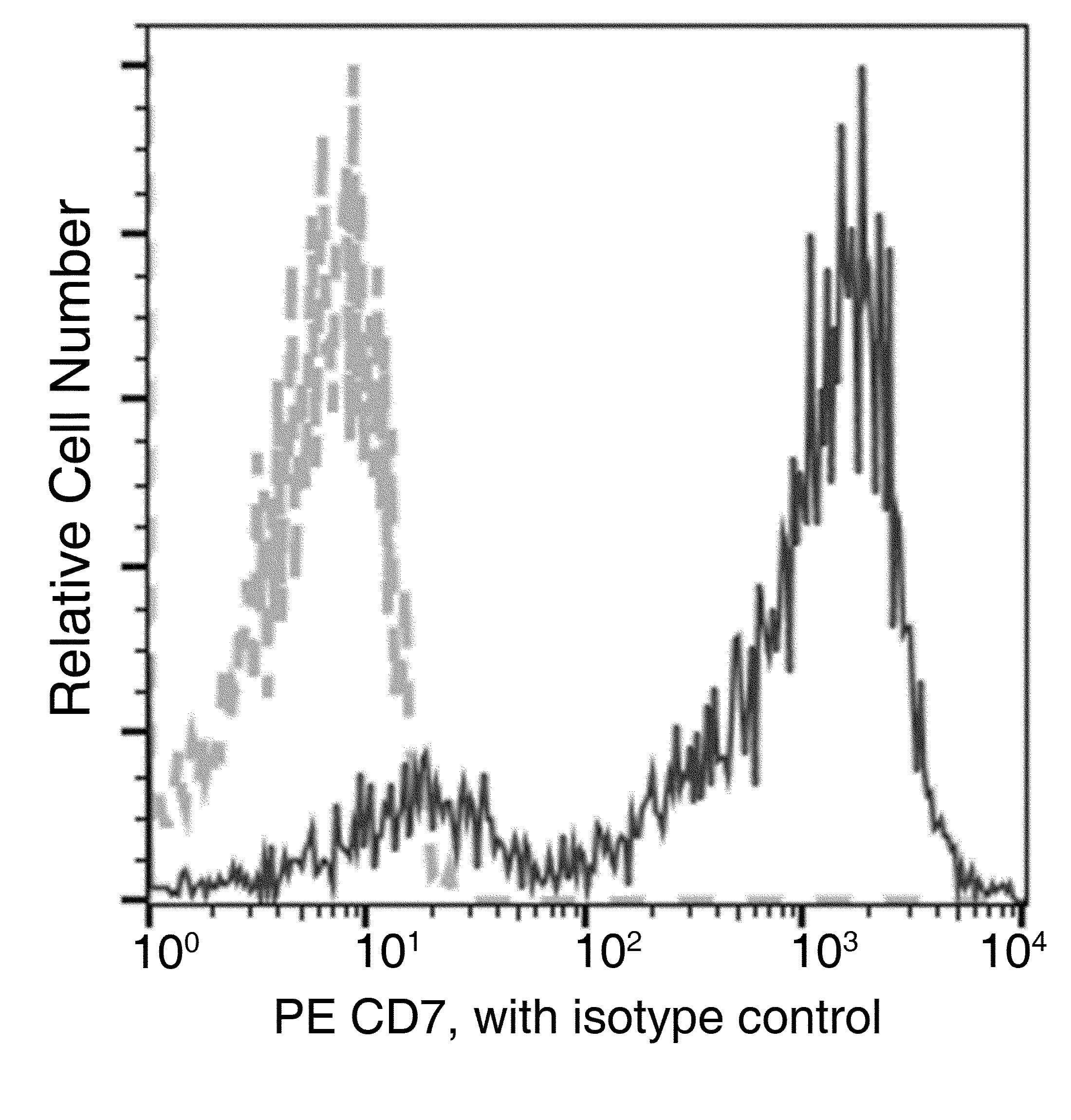 CD7 Antibody (clone 20, PE)
