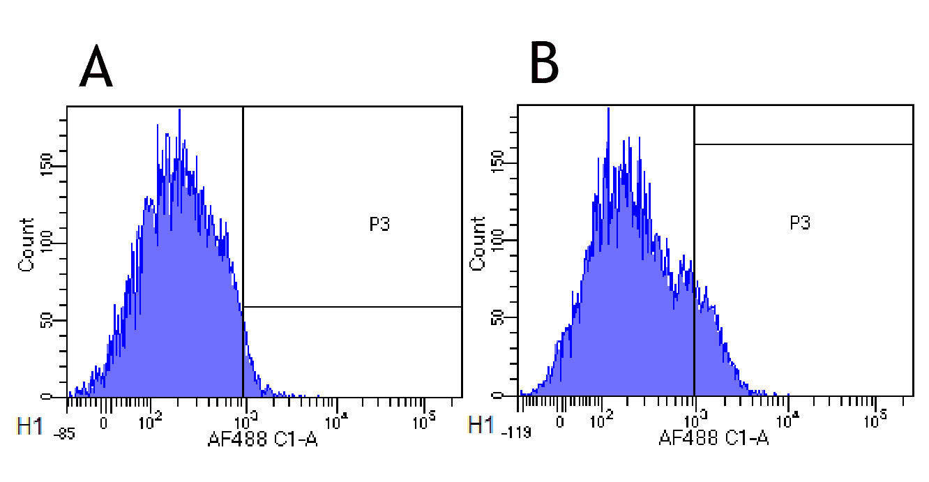IL2RA / CD25 Antibody (IL-2R alpha (CD25), clone Basiliximab)