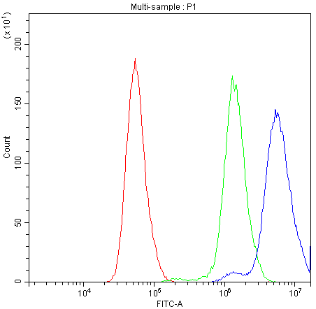 BCL2L1 / BCL-XL Antibody