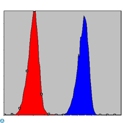 Monoclonal Mouse anti-Human CHUK / IKKA / IKK Alpha Antibody (IF, WB)