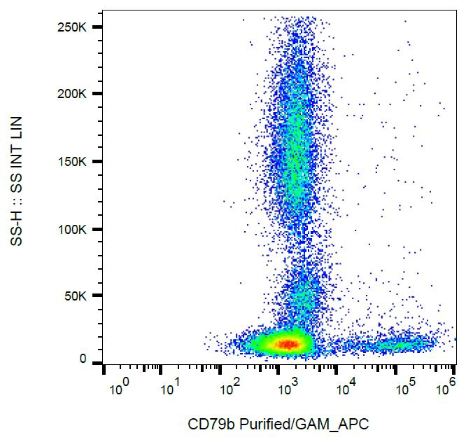 IHC-plus™ Monoclonal Mouse anti-Human CD79B / CD79 Beta Antibody (clone CB3-1, IHC, WB)