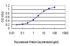 SNX1 Antibody (clone 6H1)