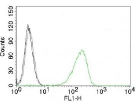 CD71 / Transferrin Receptor Antibody (clone 66IG10, Azide-free, BSA-free)