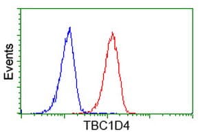 Monoclonal Mouse anti-Human TBC1D4 / AS160 Antibody (clone OTI5A6, IF, WB)