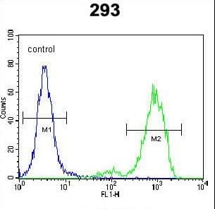 SPDYE5 Antibody (aa21-50)